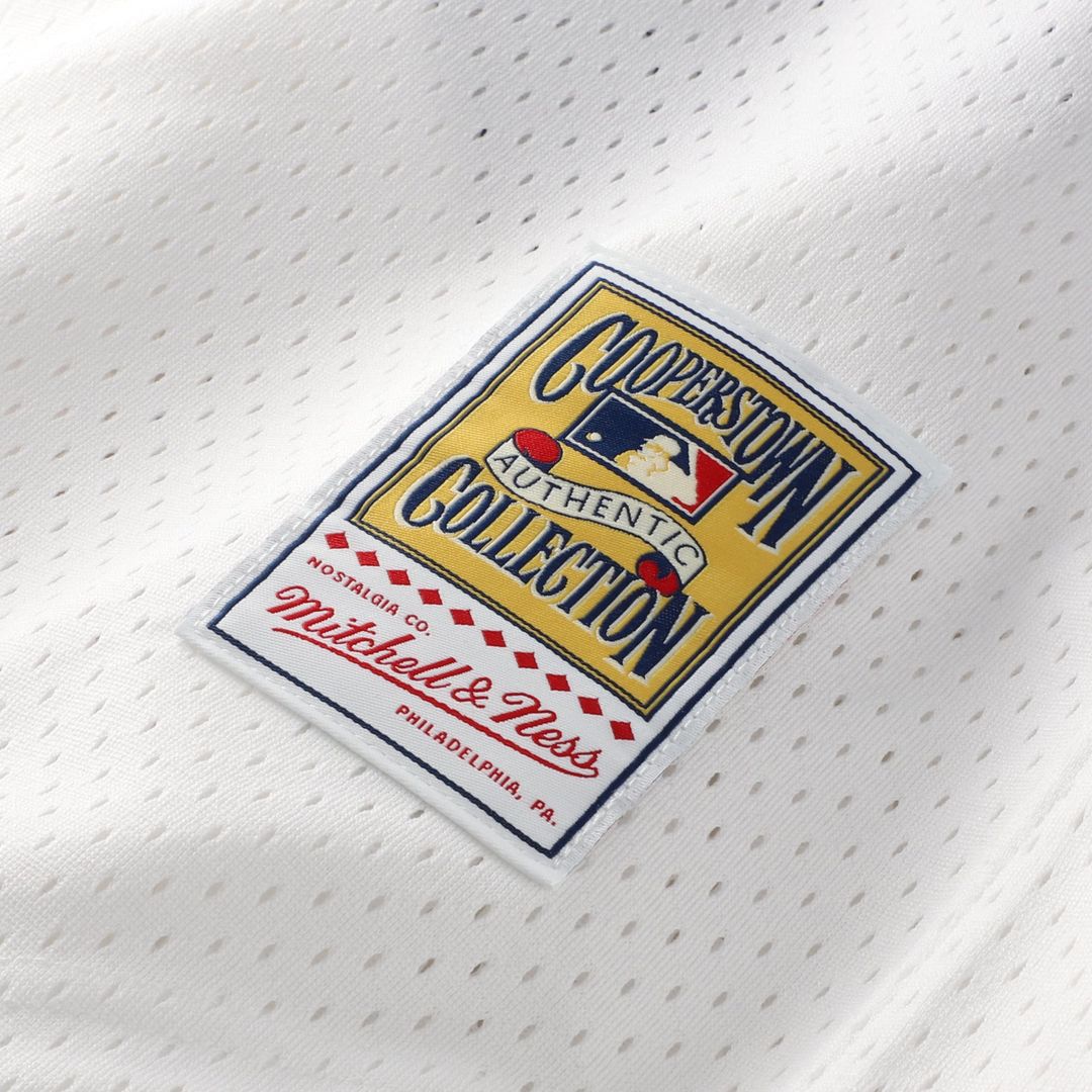 Carlton Fisk Chicago White Sox Authentic Jersey - White