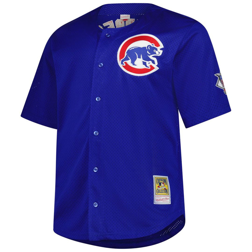 Ryne Sandberg Chicago Cubs Big & Tall Cooperstown Mesh Jersey - Royal