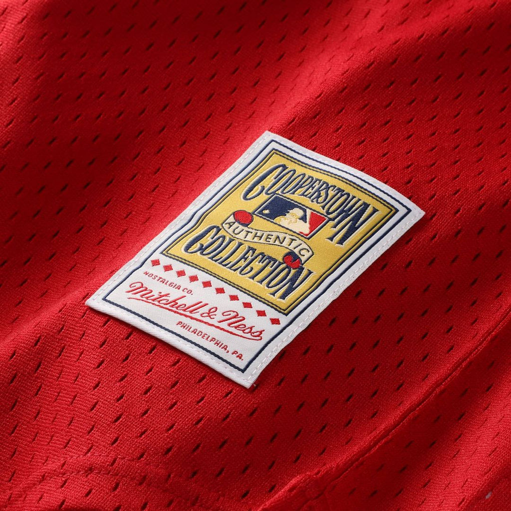 David Ortiz Boston Red Sox Toddler Mesh Jersey - Red