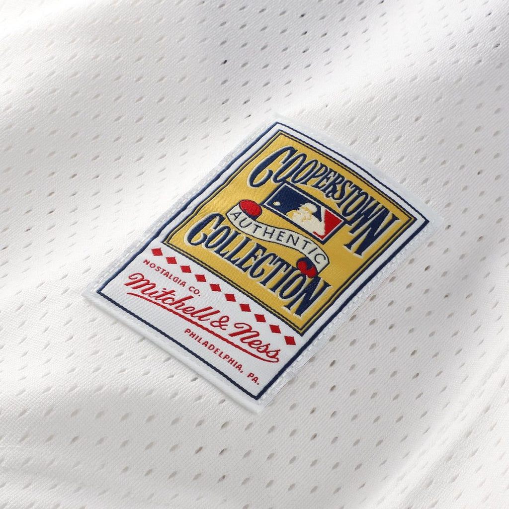 Carlton Fisk Chicago White Sox Authentic Jersey - White