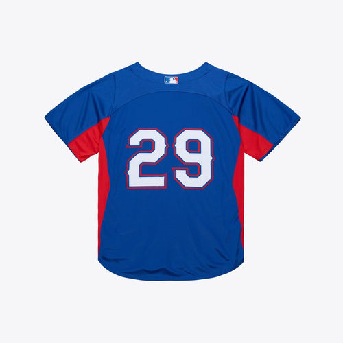 Adrian Beltre Texas Rangers Cooperstown Mesh Batting Practice Button-Up Jersey - Royal