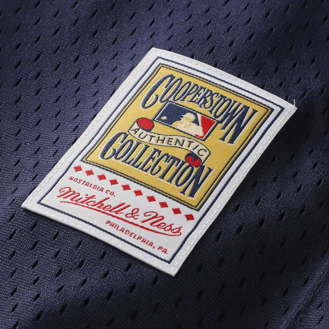 David Ortiz Minnesota Twins Youth Mesh Jersey - Navy