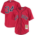 David Ortiz Boston Red Sox Youth Jersey - Red