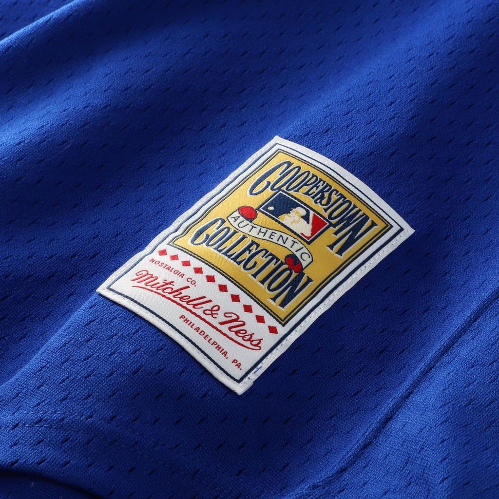 Dale Murphy Atlanta Braves Authentic Jersey - Royal
