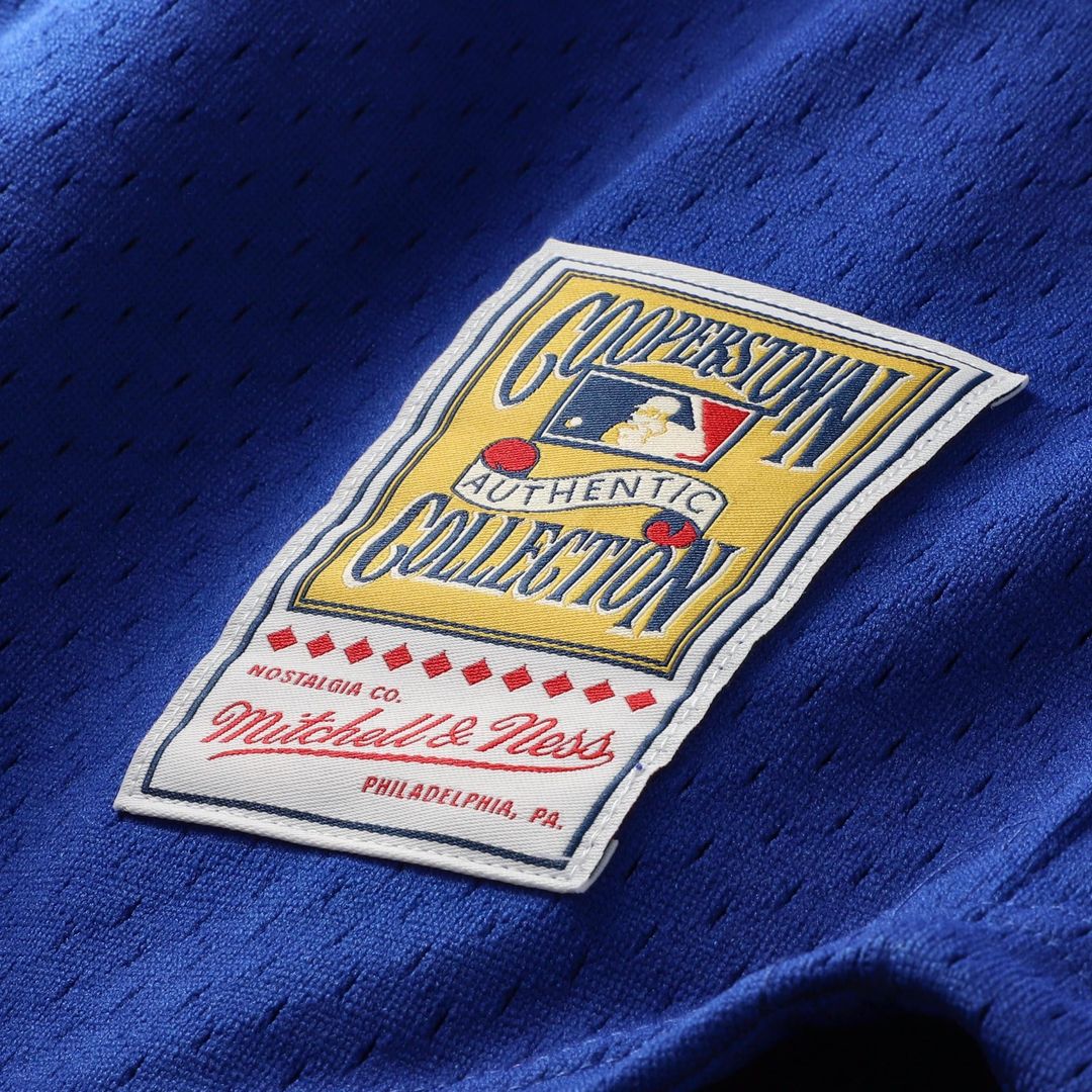 Ryne Sandberg Chicago Cubs 1996 Mesh Batting Practice Button-Up Jersey - Royal