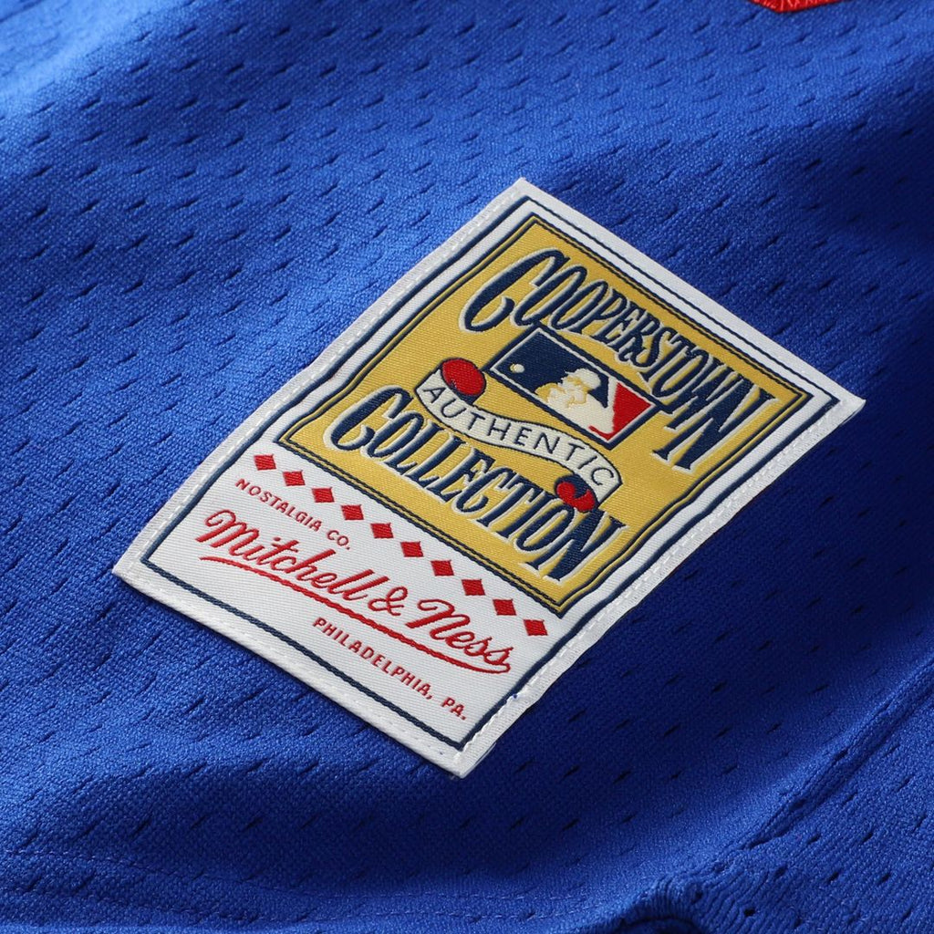 Hideo Nomo Los Angeles Dodgers Big & Tall Mesh Jersey - Royal