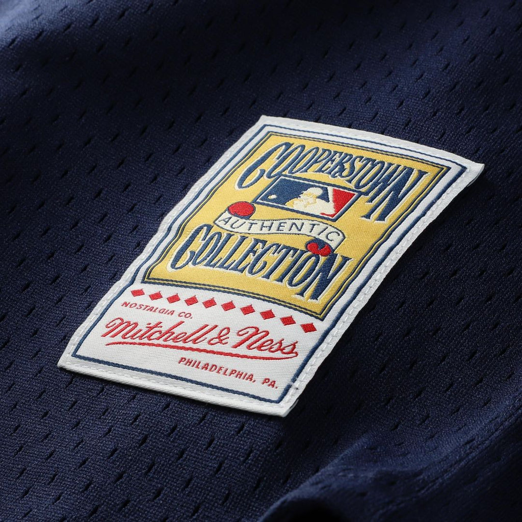 Carlton Fisk Chicago White Sox Authentic Jersey - White